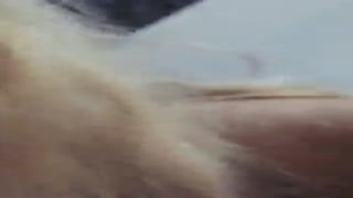 He's about to cum, I can feel it