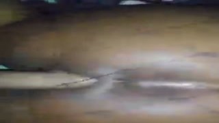 I fucked my wife's sister while she was watching