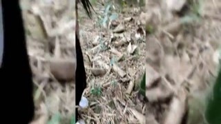 I shouldn't have taken my buddy's virginity up to the mountain