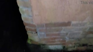 She led him to a secluded alleyway on their first date, and he felt her warm mouth engulfing his cock, taking him deeper with each stroke