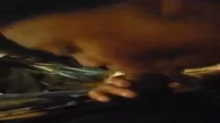 I was fucking this big ebony slut from the back when I saw her throat bulging with my white load