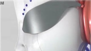 hot girls deepthroat a big cock in split-screen comp 3d cartoon porn