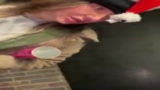 Fucking her on the picnic table in broad daylight made my cock hard as a rock