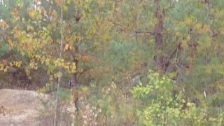 Fuck me! I'm a naughty girl, playing with my panties and the lumberjack's big dick