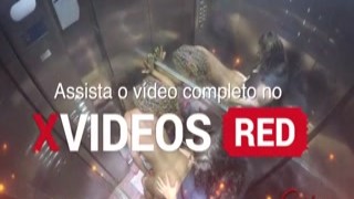 we caught bonquinha sadist and harlequina in the whoring elevator