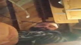 I am a woman, I am not a male