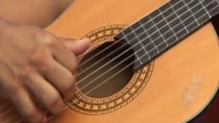 The cat with the massive ass decided to give the band's guitarist, Lucas, a Christmas present