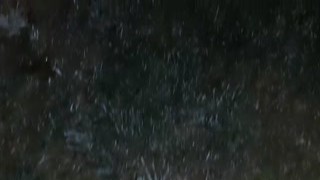 she slapped them on and got a wicked hard-on from thinking about how much she wanted you to lick her pussy - girls fly orgasm